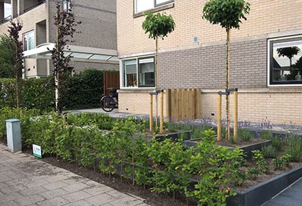 Zegveld